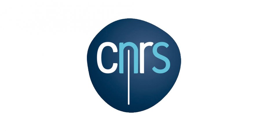 CNRS_rect